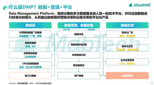 搞不懂dmp是什么 看這里就夠了